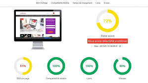 seo site web