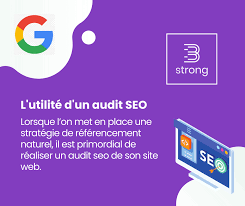 audit référencement site web