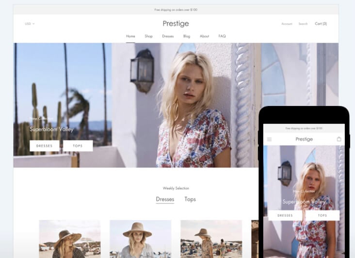 referencement site shopify