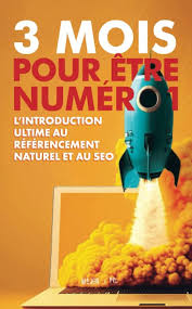 referencement naturel pour les nuls